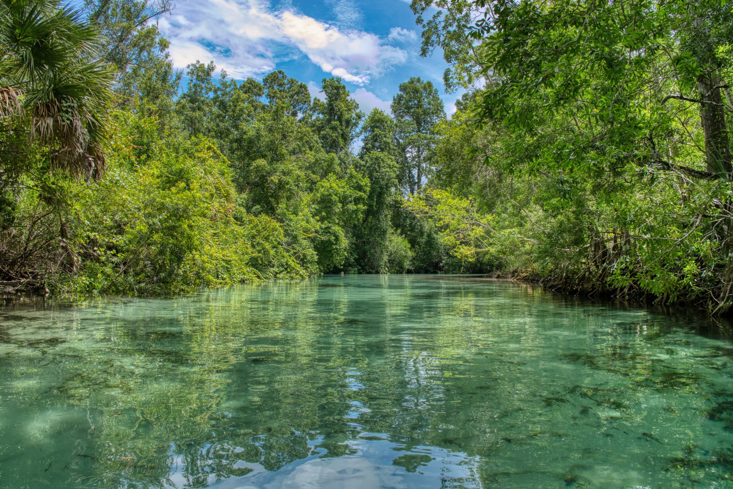 Weeki Wachee River near Spring Hill, Florida